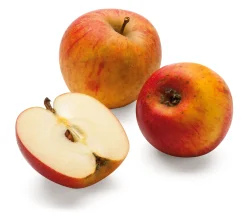 Herbstapfel 'Goldparmäne'