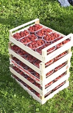 Himbeer-Fruchtaufstrich aus Südtirol