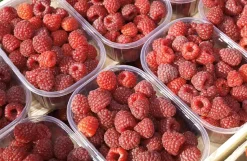 Himbeer-Fruchtaufstrich aus Südtirol