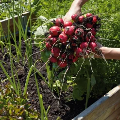 Hochbeet Lärchenholz