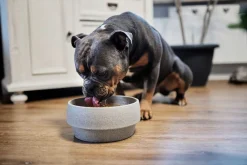 Hundenapf Granitkeramik