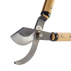 Japanische Astschere