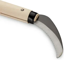 Japanische Kleinsichel