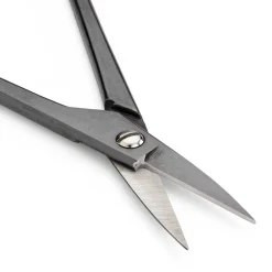 Japanische Zimmerpflanzenschere