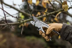 Jubiläumsmodell Löwe Ambossschere