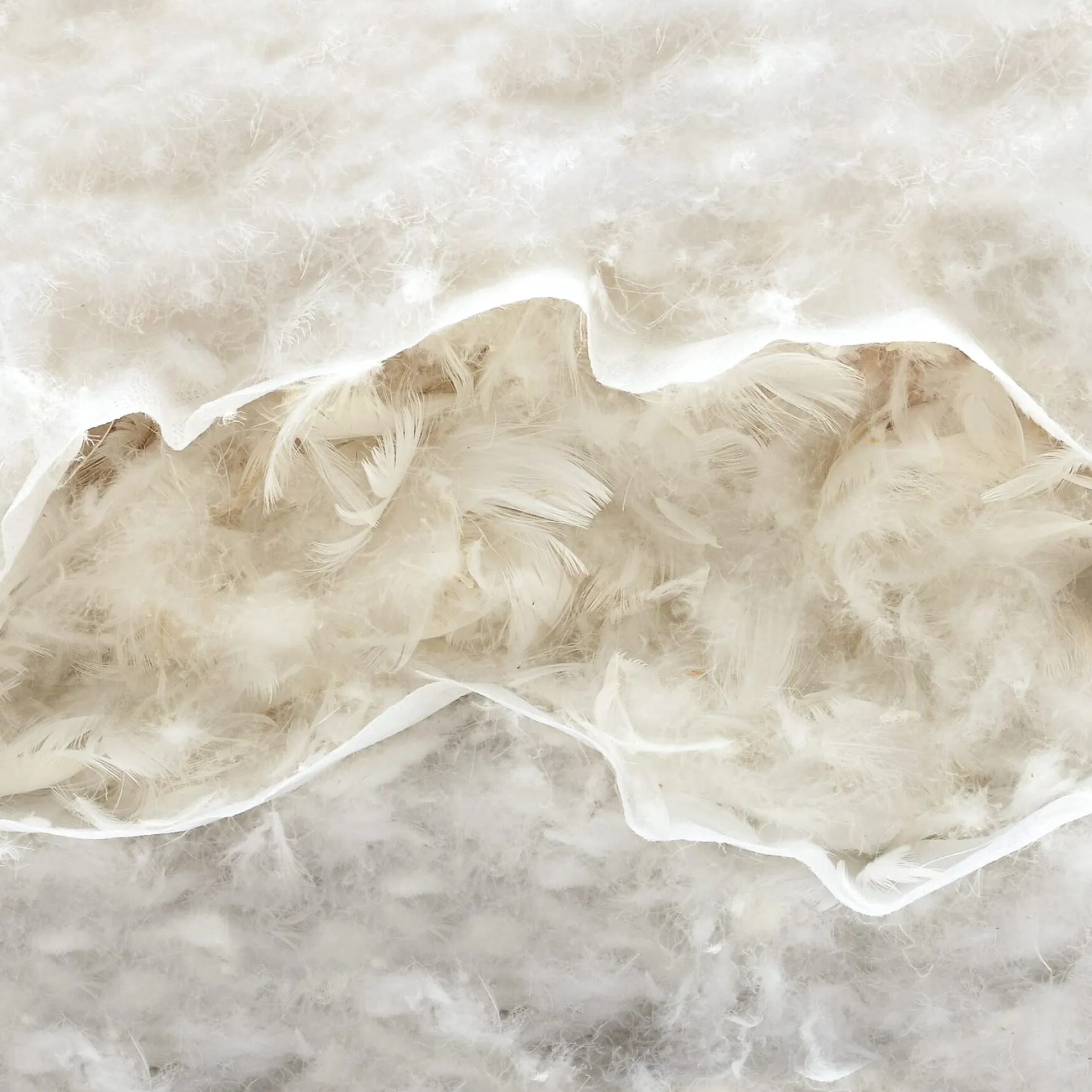 3-Kammer-Kopfkissen Gänsefedern und -daunen