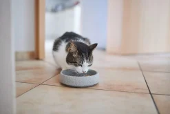 Katzennapf Granitkeramik