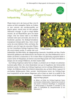 Klimafest und artenreich