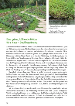 Klimafest und artenreich