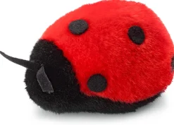 Kösener Marienkäfer