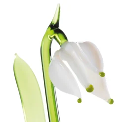 Lauschaer Schneeglöckchen