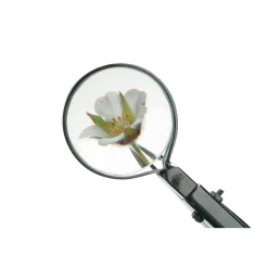 Lupenpinzette Edelstahl