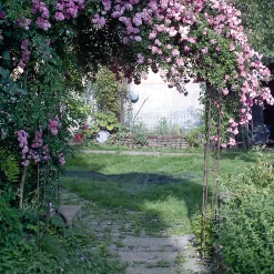 Manufactum Rosenbogen Stahl