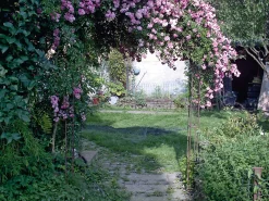 Manufactum Rosenbogen Stahl