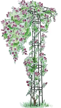 Manufactum Rosenschirm Stahl