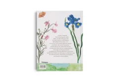 Maria Sibylla Merian - Ein Leben mit Pinsel, Lupe und Papier