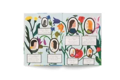 Maria Sibylla Merian - Ein Leben mit Pinsel, Lupe und Papier