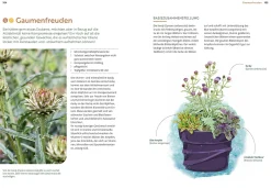 Mein Garten wächst im Topf