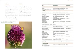 Mein Garten wächst im Topf