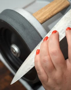 Messerschleifmaschine Tormek T-1