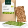Microgreens Bio-Saatpad