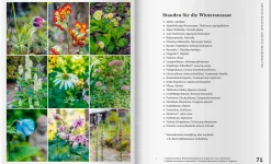 Mit Kaltanbau zu grünen Wundern