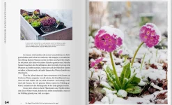 Mit Kaltanbau zu grünen Wundern