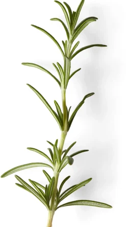 Nachfüller zu Naturseife Soeder