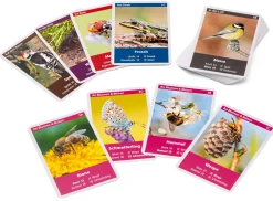 Naturquartett Tiere im Garten