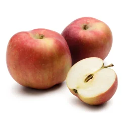 Obstgehölz Säulenapfel 'Black McIntosh'