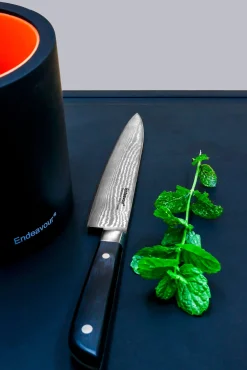 Obstmesser Endeavour