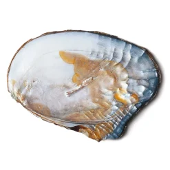 Ohrhänger Süßwasserperlen