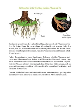 Permakultur im Bio-Garten