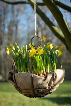 Pflanzeinlage Kokos für Pflanzgefäße