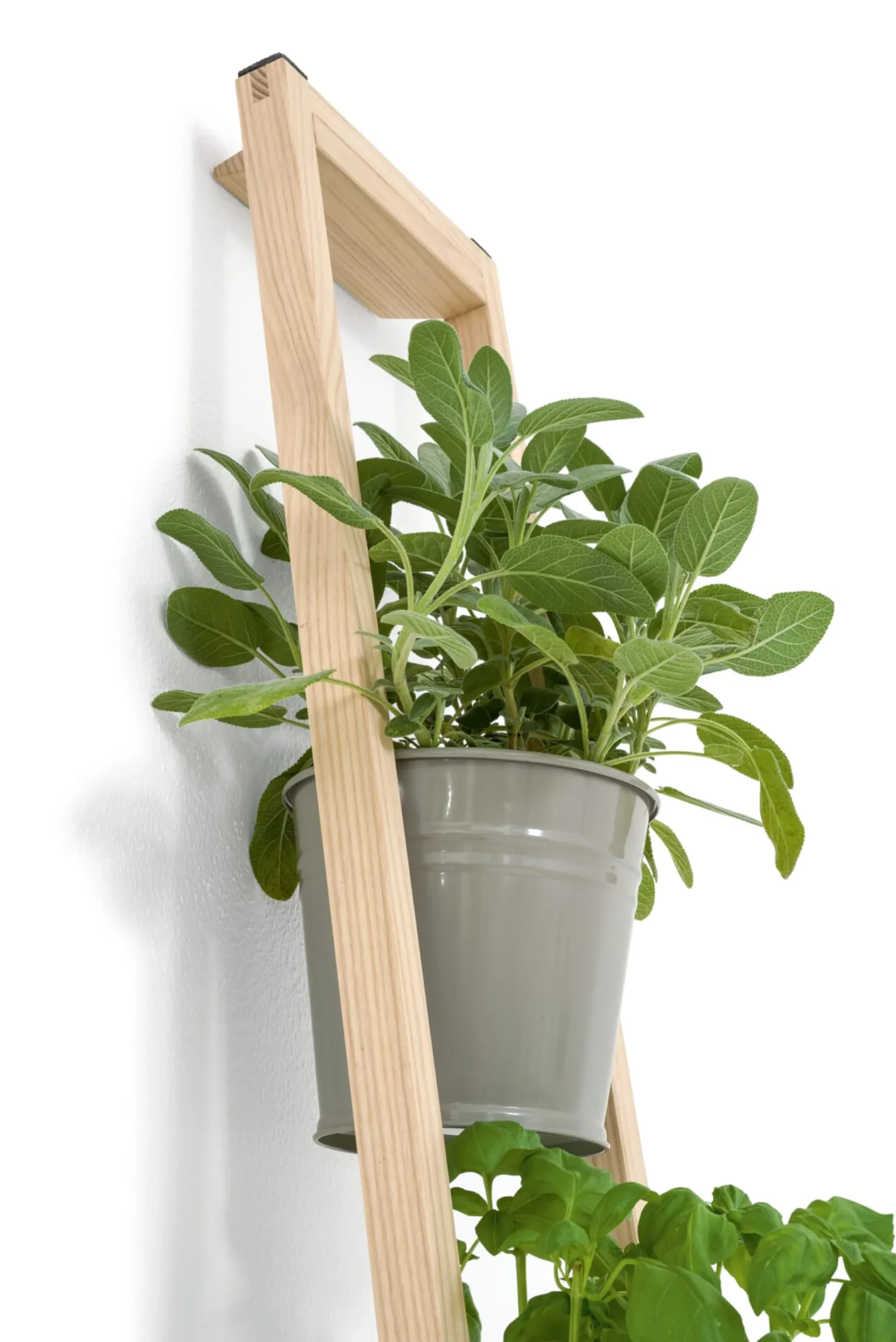 Pflanzenleiter für drinnen und draußen
