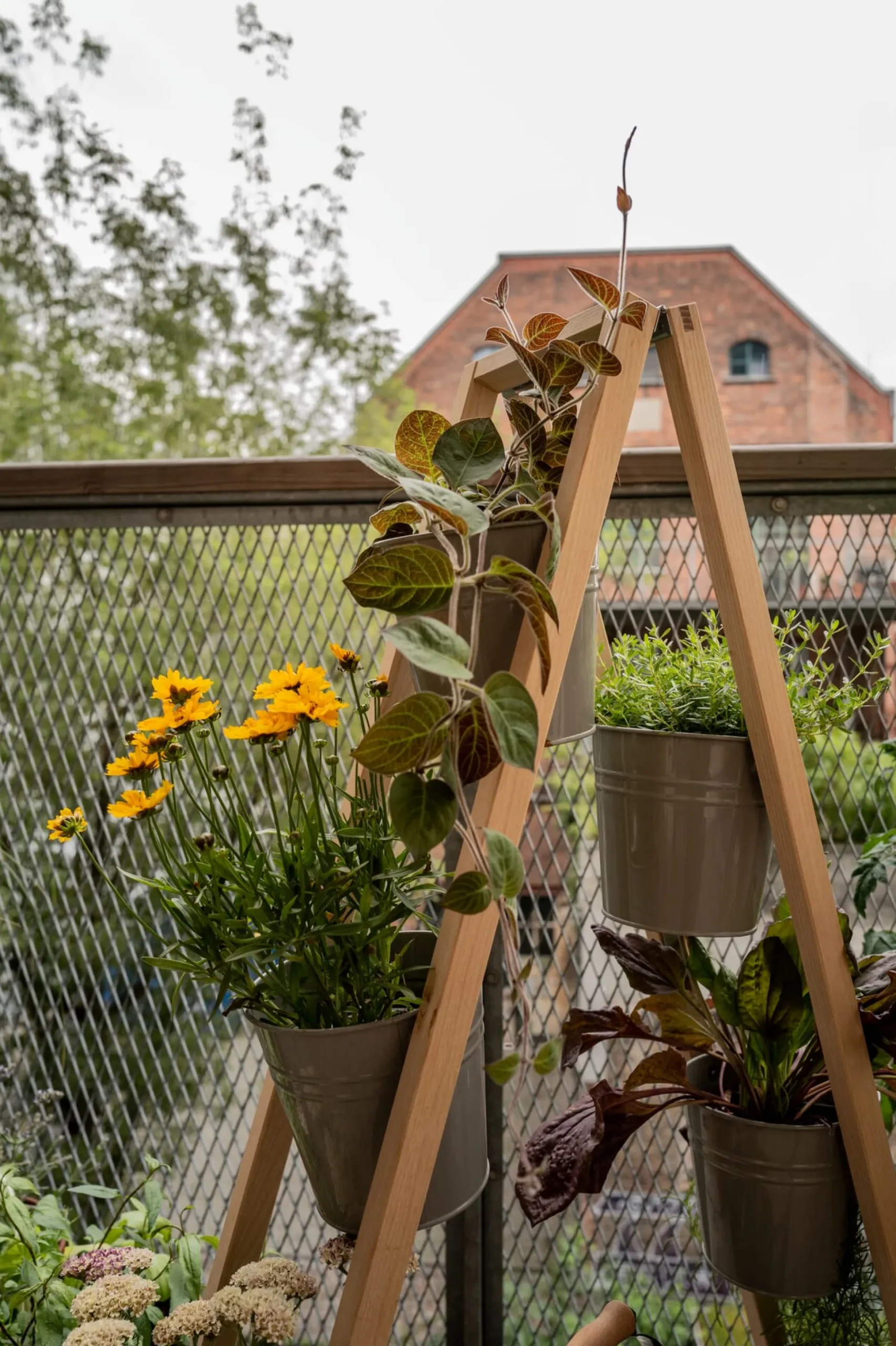 Pflanzenleiter für drinnen und draußen