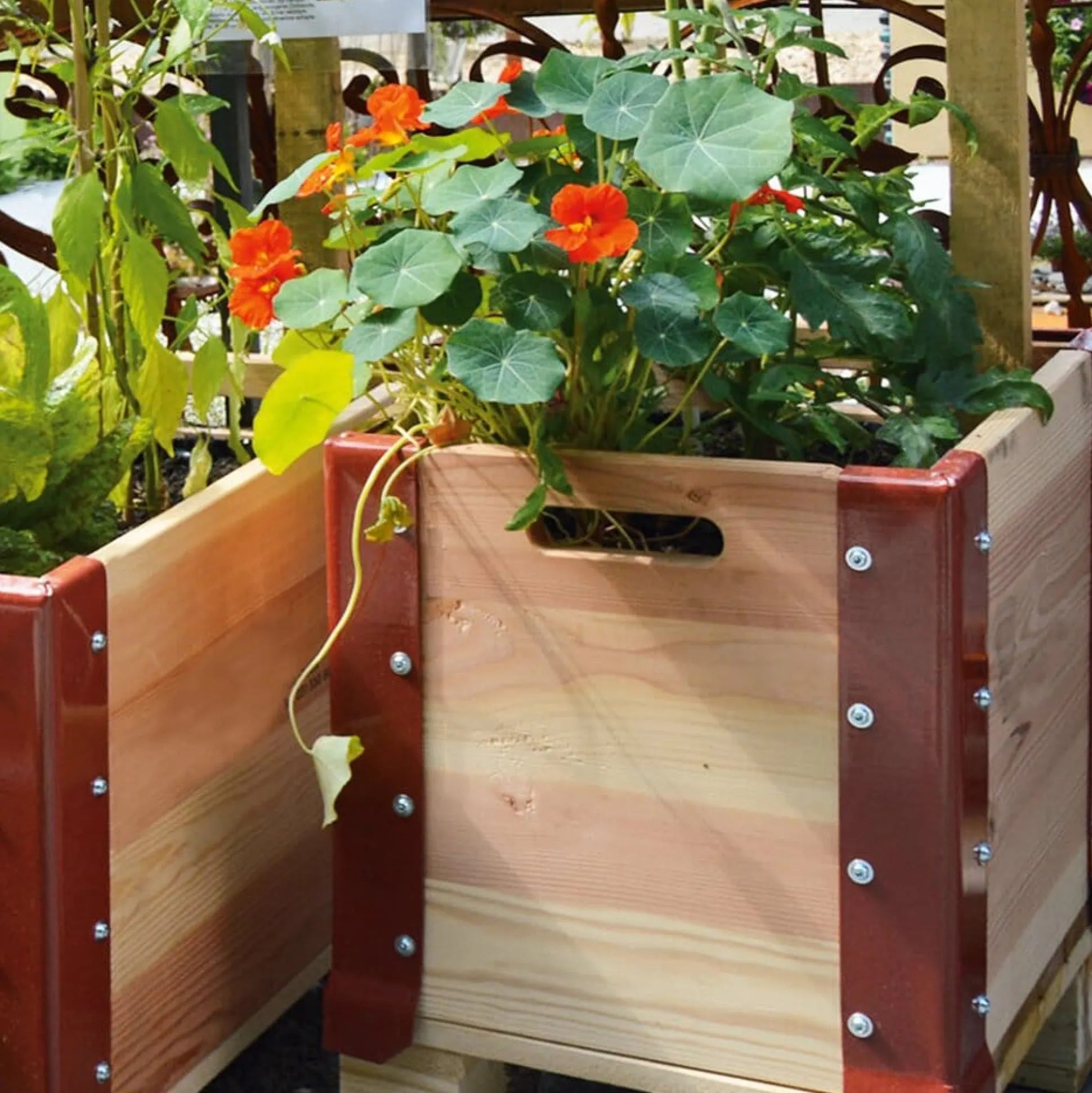 Pflanzgefäß Palettenrahmen