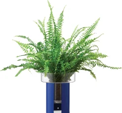 Pflanzgefäß Terrazza