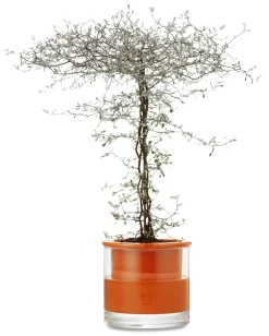 Pflanzgefäß Wet Pot Systems