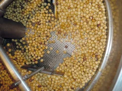 Piemontesische Haselnüsse