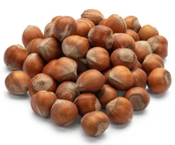 Piemontesische Haselnüsse in Schale