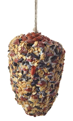 Pinienzapfen Vogelfutter
