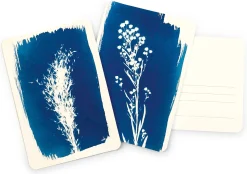 Postkartenset DIY Cyanotypie