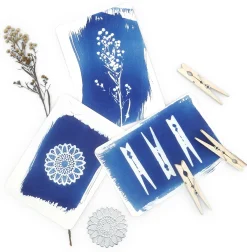 Postkartenset DIY Cyanotypie