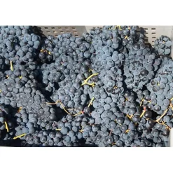 Quinta de la Rosa Tawny Port 10 Jahre