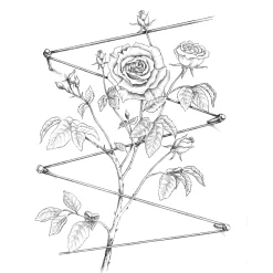 Ranksystem Edelstahl