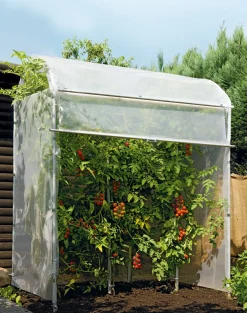 Rollo Tomatenhaus Stahlrahmen