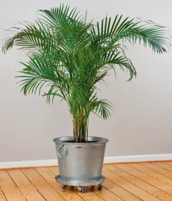 Rolluntersetzer Stahl verzinkt