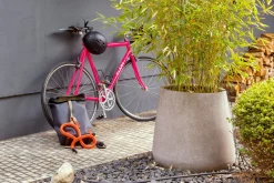 Rucksack Pickwick, Klein