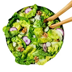 Salatschleuder Rotor 2.0